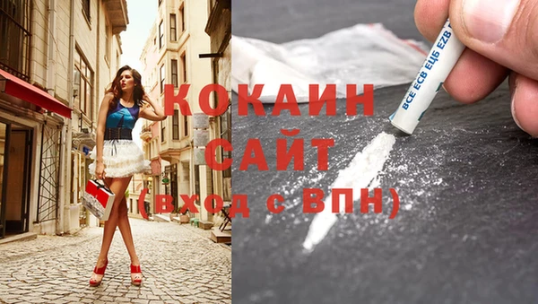 амф Магас
