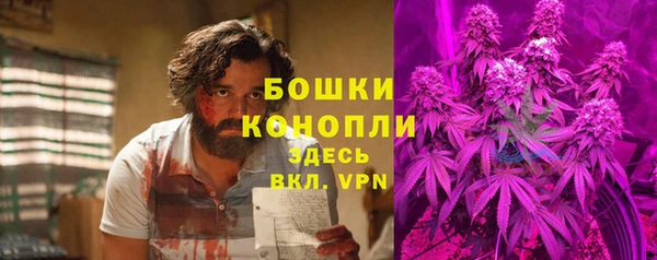 амф Магас