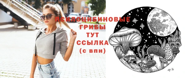 амф Магас
