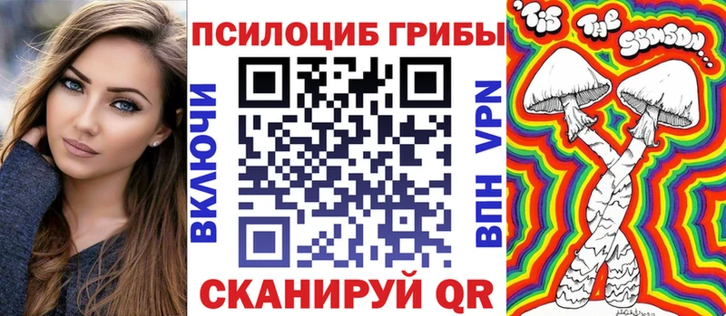 закладка Ялуторовск Псилоцибиновые грибы Magic Shrooms