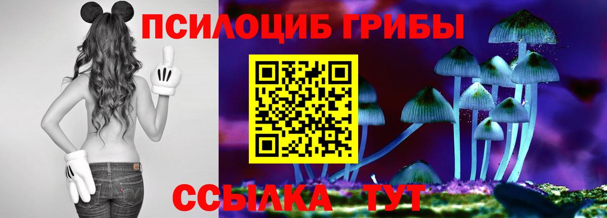 Ялуторовск  Псилоцибиновые грибы Magic Shrooms  Вход с VPN 